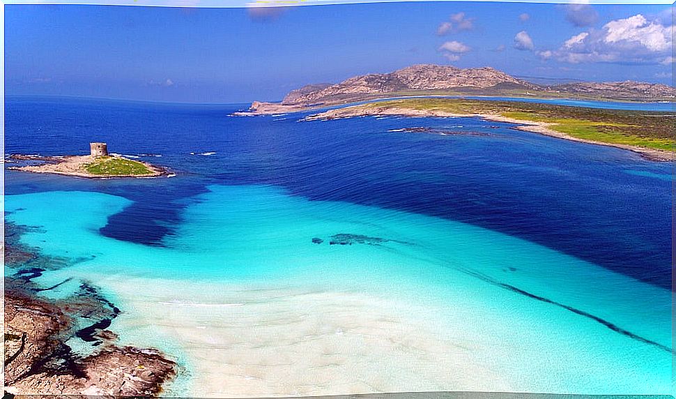 Aerial view of La Pelosa beach