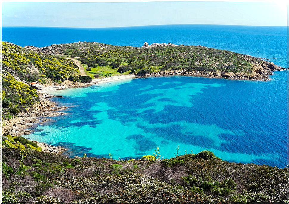 View of Asinara Island