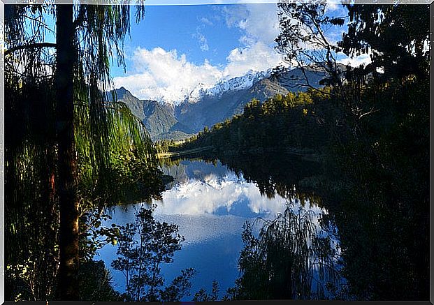 View of Lake Matheson 