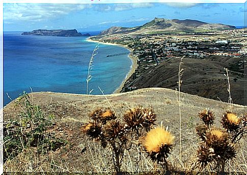 Porto Santo in Madeira