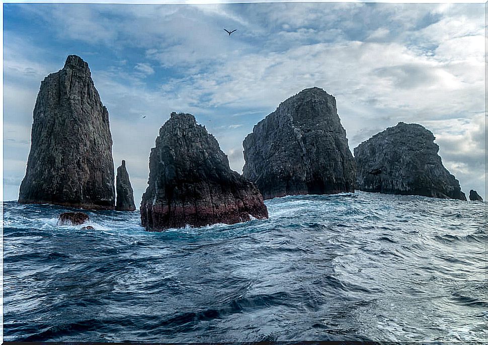 Malpelo, a natural sanctuary on the high seas