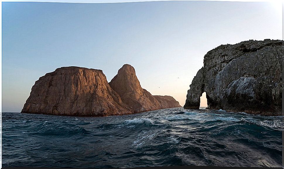 Malpelo Coast