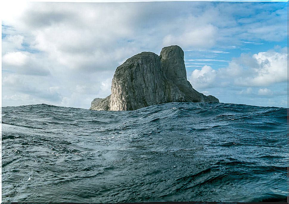 Malpelo Island