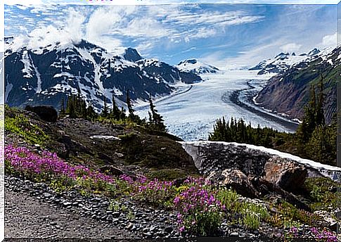 Glacier in Alaska