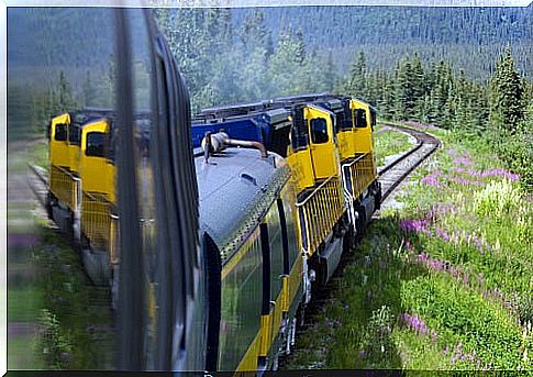 Alaska Train