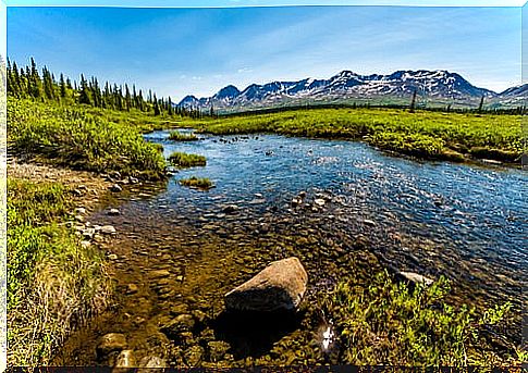 Denali National Park in Alaska