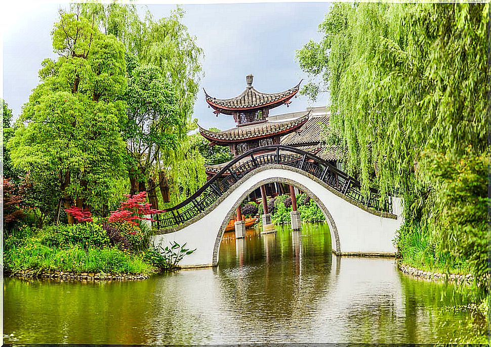 Bridge in the humidities of Xixi