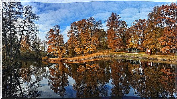 Park in Örebro