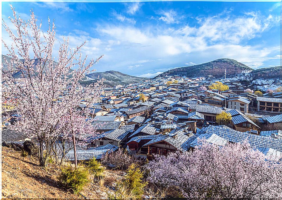 The mythical Shangri-La, a city at the foot of Tibet