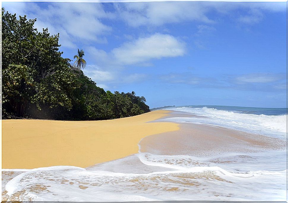 Bocas del Toro in Panama