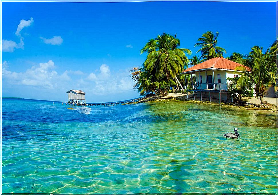 Bungalow in Belize