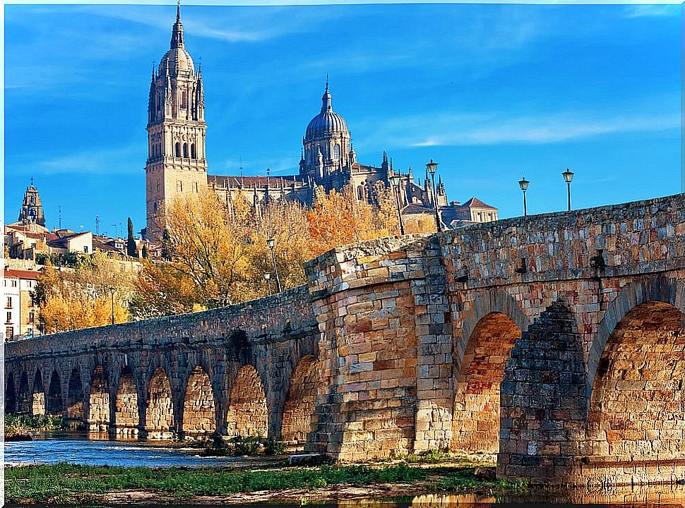 Salamanca: you will yearn to visit it again