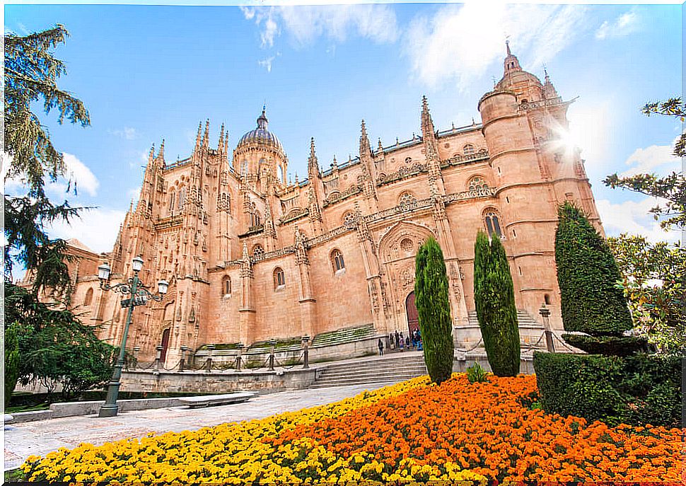 Salamanca Cathedral postcard.