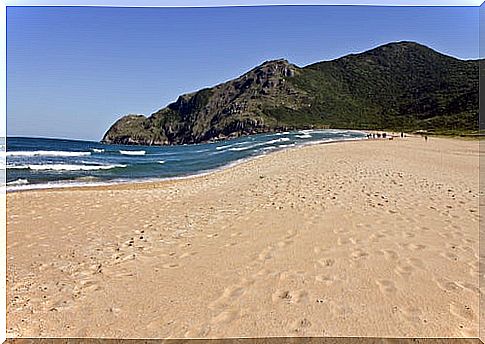 Beach in Floranópolis in Brazil