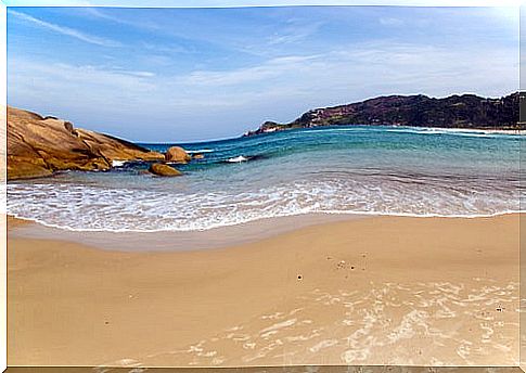 Praia Mole in Santa Catarina