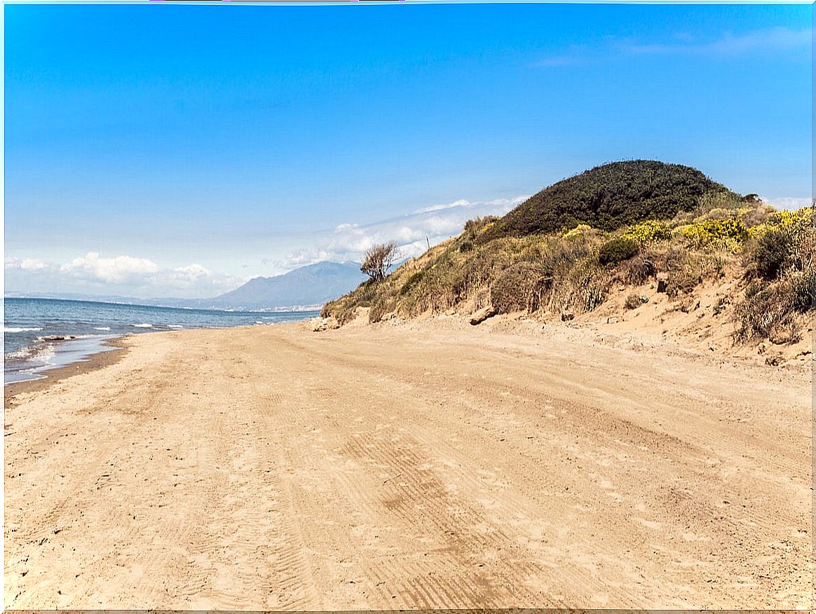 The Artola dunes are a symbol of Marbella.