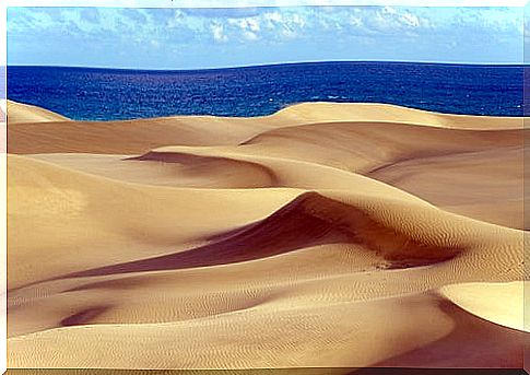 Maspalomas Beach