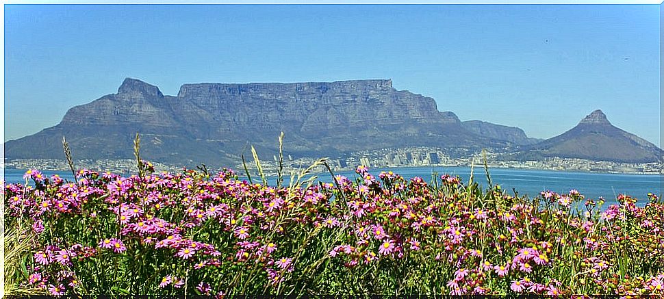 Table Mountain in South Africa