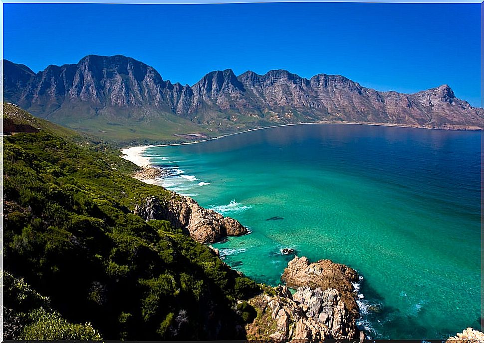 What to do in South Africa: safaris and much more