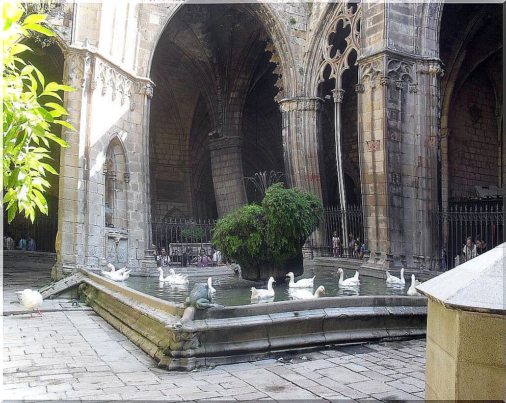 Cloister of the Gothic cathedral of Barcelona