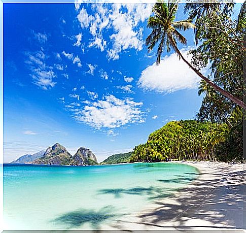 Philippine Islands, a paradisiacal and surprising site