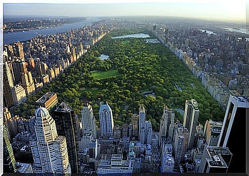 Central Park in New York