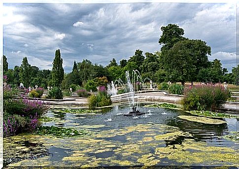 Hyde Park in London 