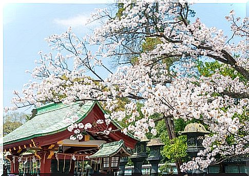 Ueno Park in Tokyo