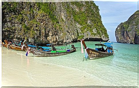 Ko Phi Phi beach