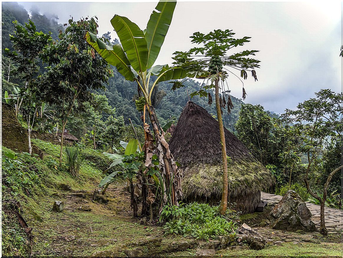 Housing in the city of Teyuna, Colombia.