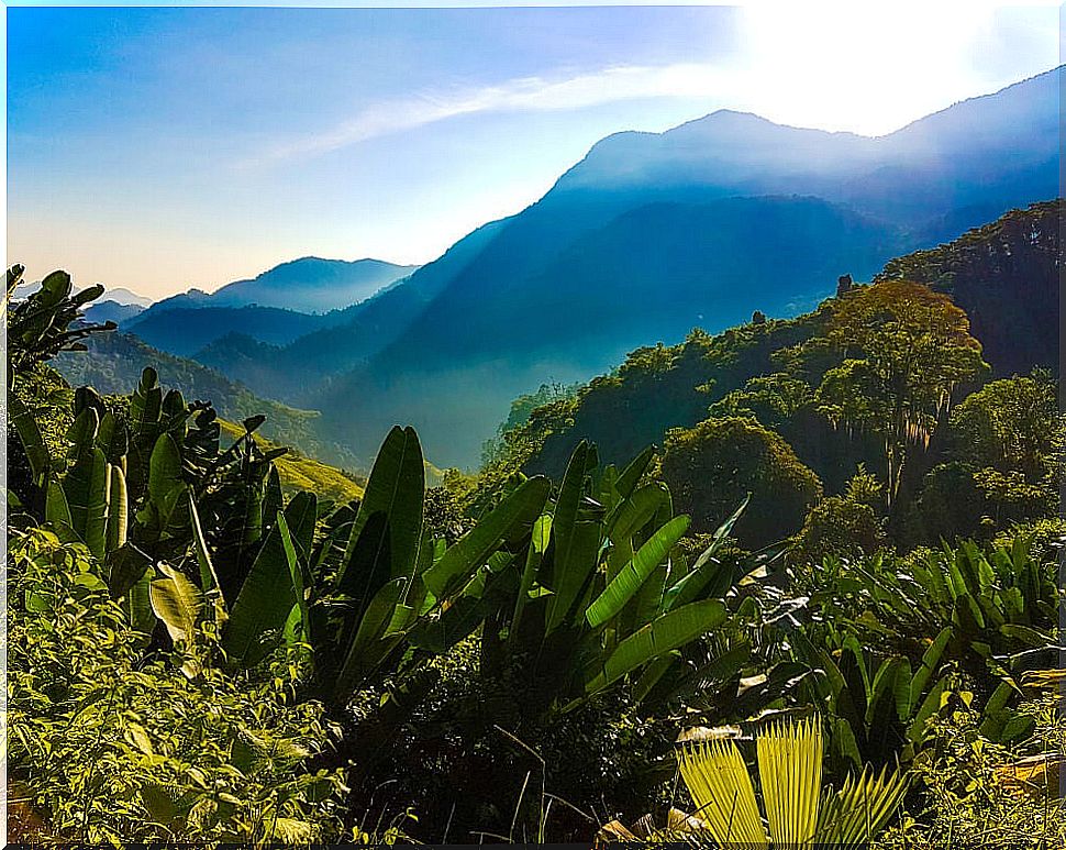 Sierra Nevada de Santa Marta, an incredible natural park