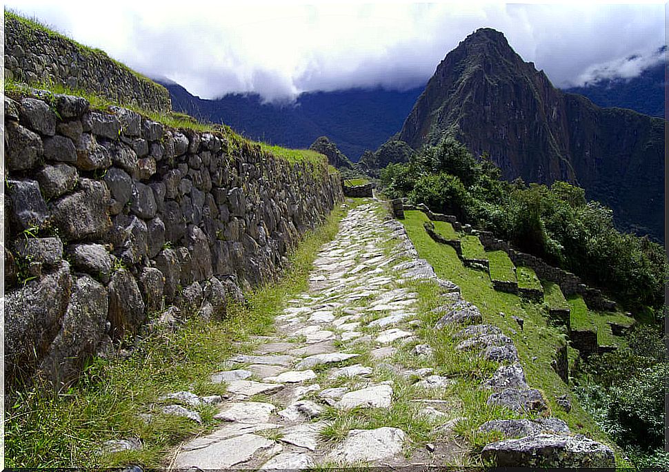 Inca Trail in Machu Picchu