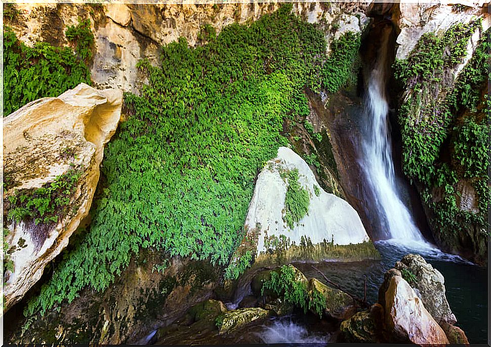 Water Cave