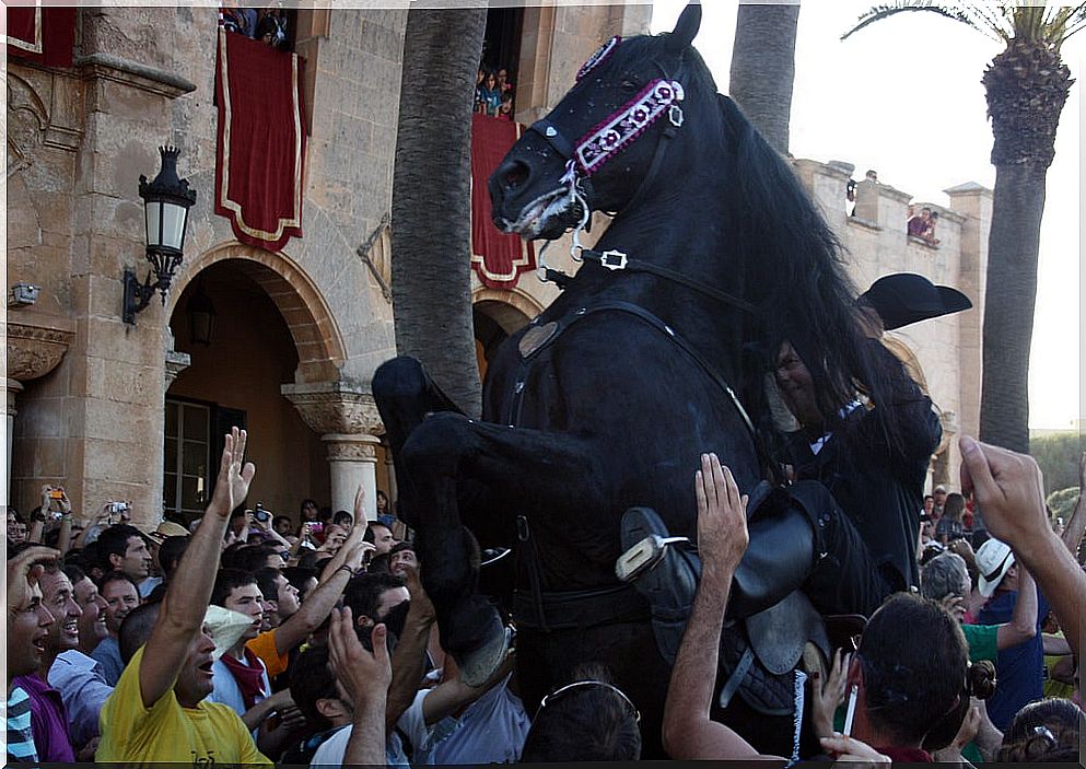 Sant Joan festival with horses