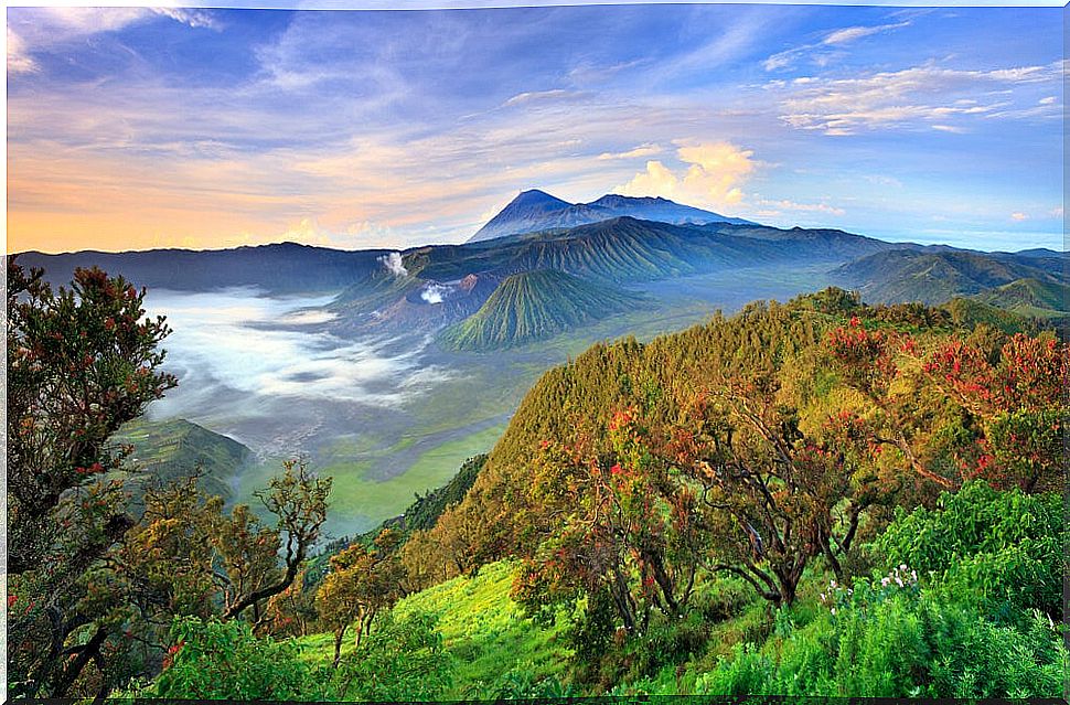 View of the Tengger Semeru National Park