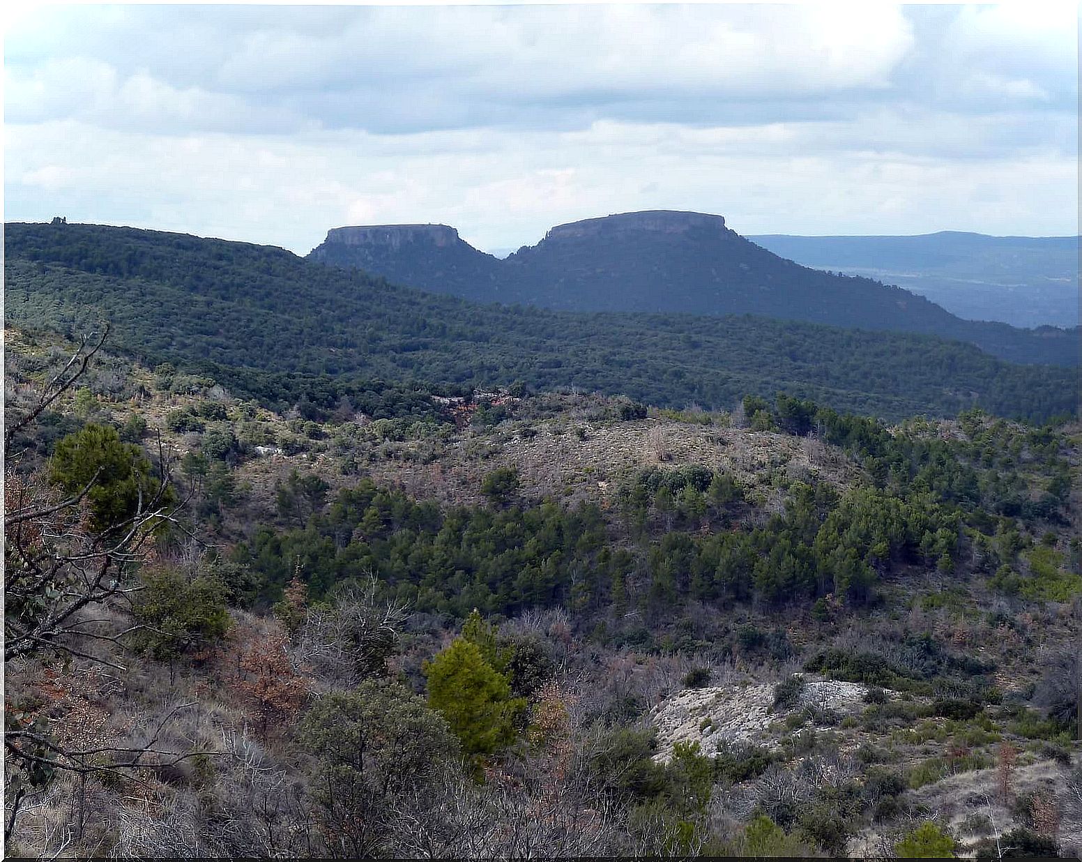 Viana's Tits are a must-see attraction in La Alcardia.