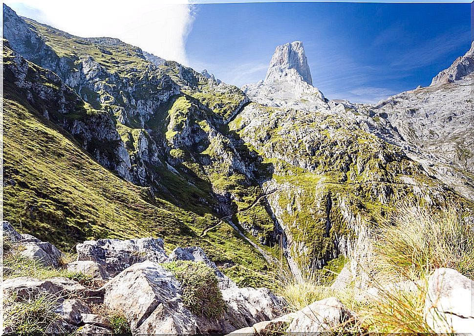 Naranjo de Bulnes