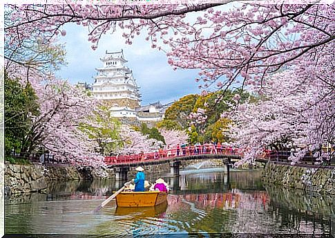 Himeji Castle in Japan