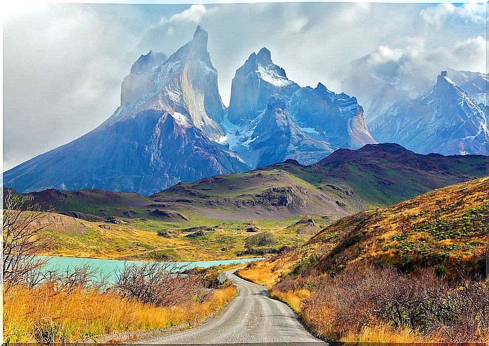 Torres del Paine National Park and its great biodiversity