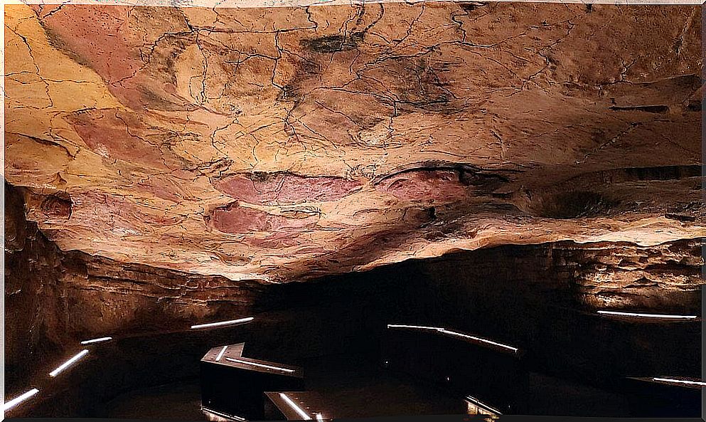 Interior of the Altamira Neocave