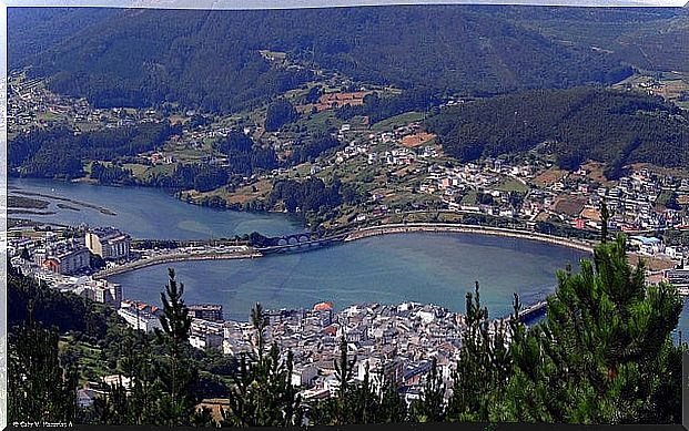 View of Viveiro