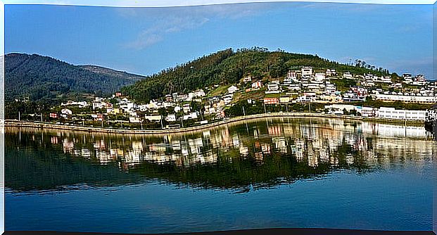 View of Viveiro