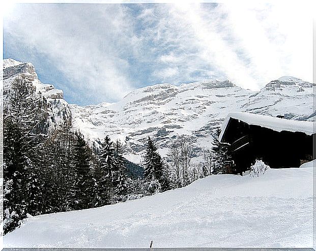 Ski slopes in Switzerland: the Diablerets