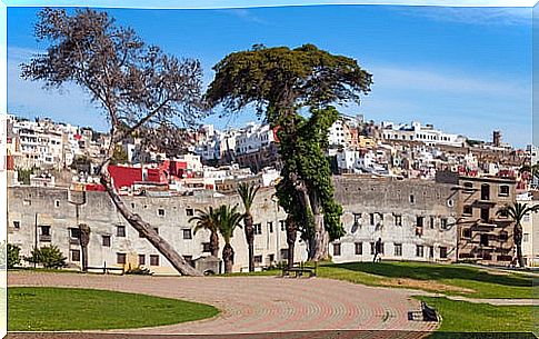 Mendoubia Gardens in Tangier