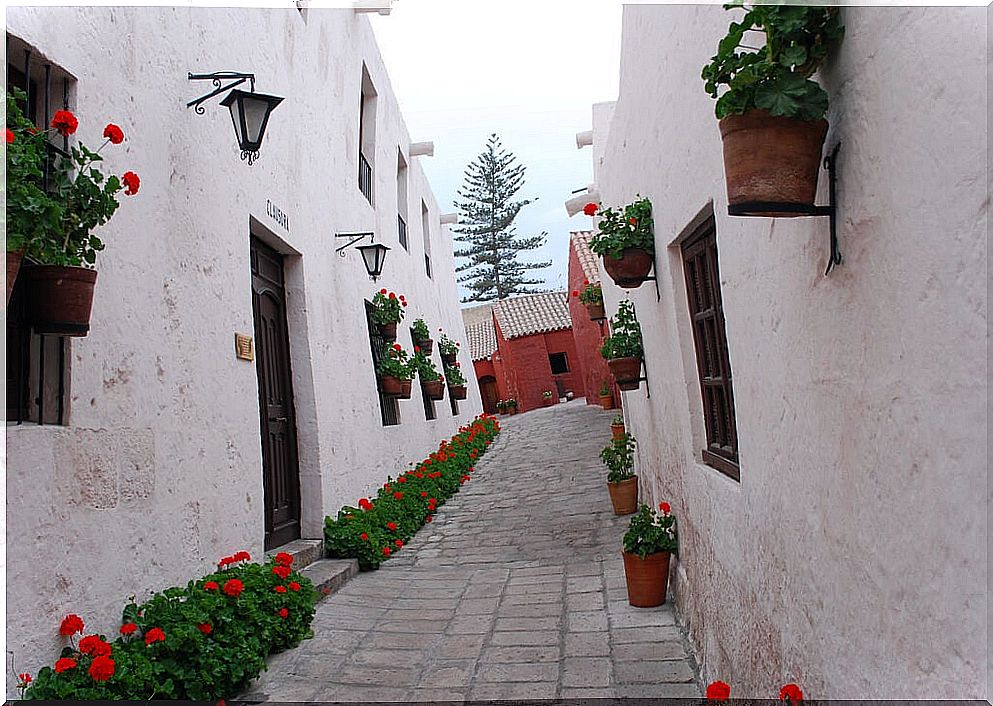 Monastery street with white walls