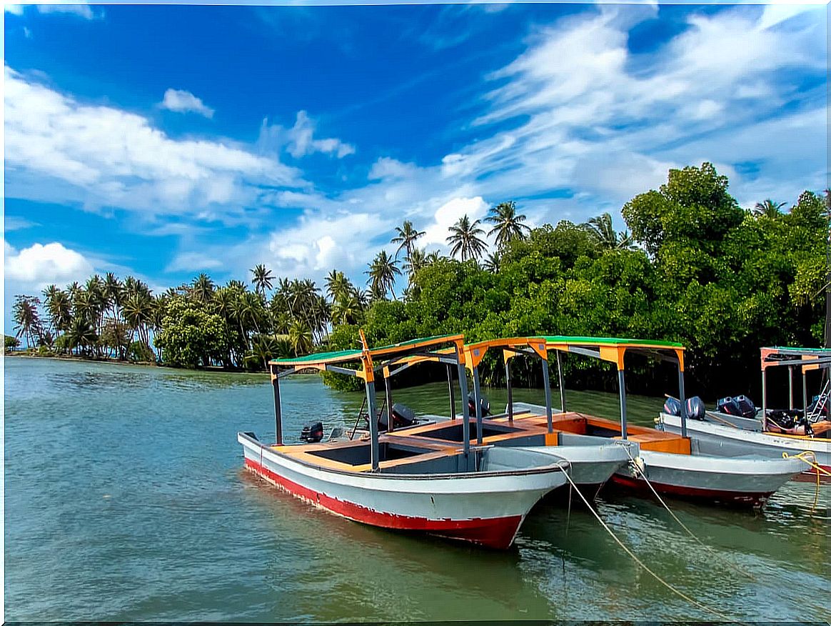 Coast of the State of Chuuk, in Micronesia.