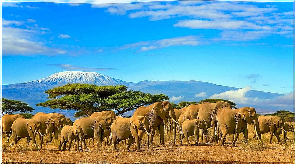 9 reasons to visit Africa, a fascinating continent