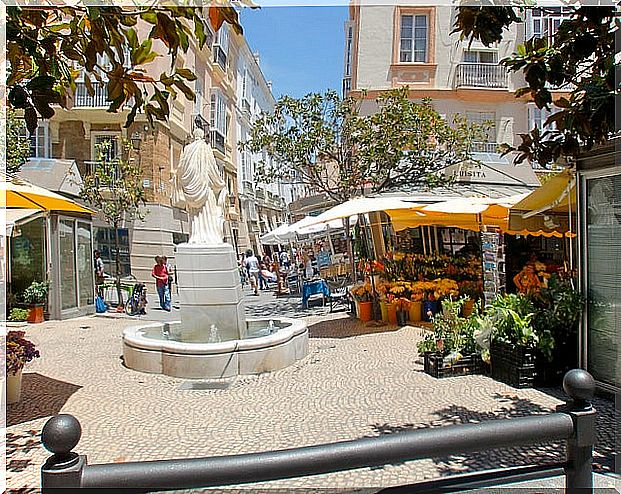 Plaza de las Flores in Cádiz capital